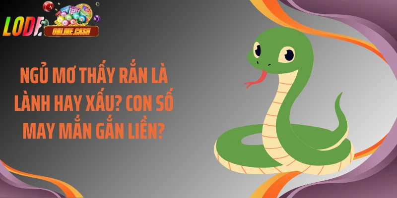 Ngủ Mơ Thấy Rắn Là Lành Hay Xấu? Con Số May Mắn Gắn Liền?